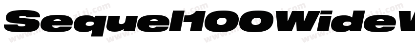 Sequel100WideW05-95 Regular字体转换
